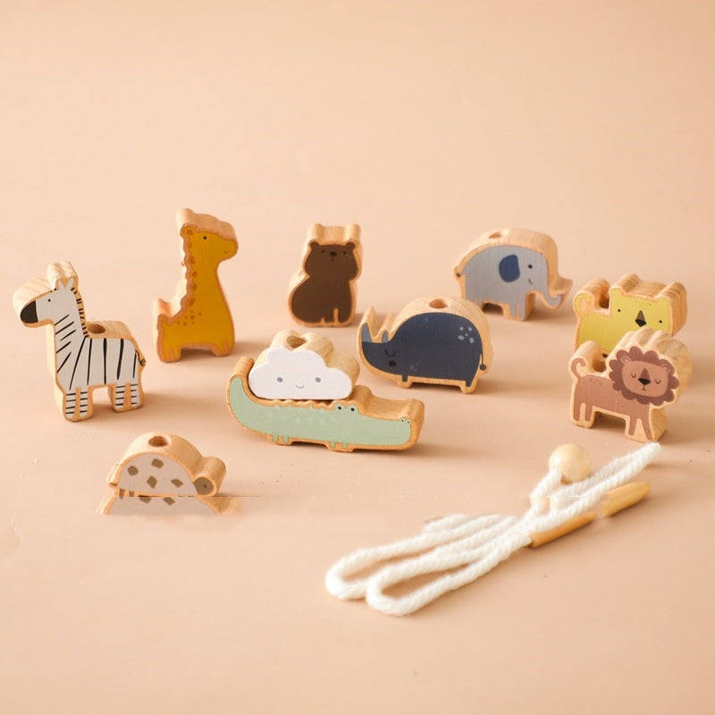 Educational Multi-functional Early Education Wooden Hands-on Brain Toys